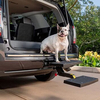 A dog is on the Portable dog hitch step
